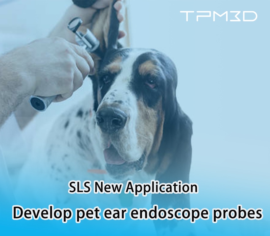 New Application| SLS 3D Printing to develop Pet Ear Endoscope Probes